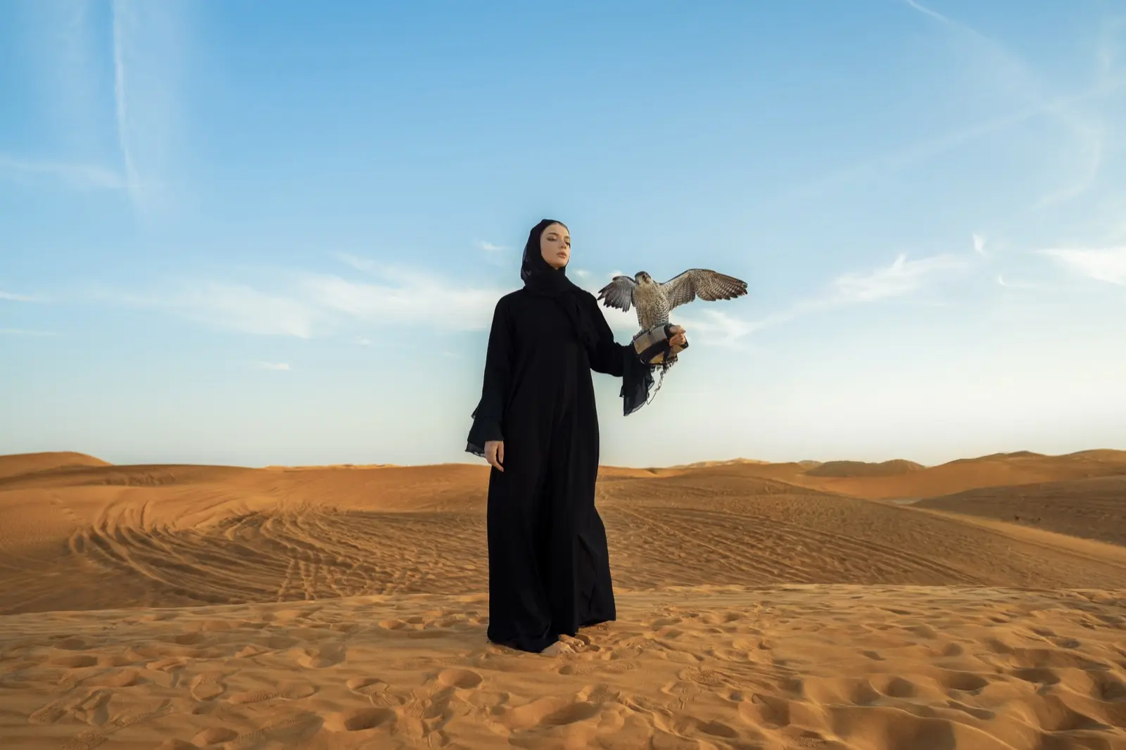 Dubai Customs 2026